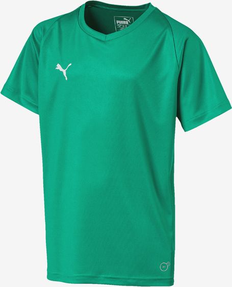 Liga Jersey Core Triko dětské Puma | Zelená | Chlapecké | 176 - obrázek 1