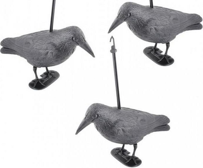 Lamps Krkavec odstrašující ptáky - set 3 ks - obrázek 1