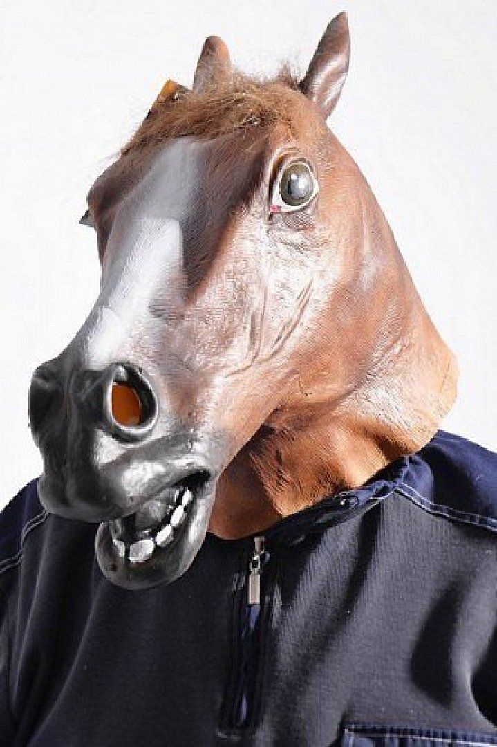 Maska - hlava koně - obrázek 1