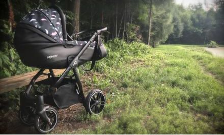 Kočárek Baby Active Mommy Summer 2019 dvojkombinace Air - obrázek 9