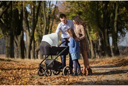 Kočárek Baby Merc La Rosa 2020 trojkombinace s autosedačkou LR/LN04/B - obrázek 17