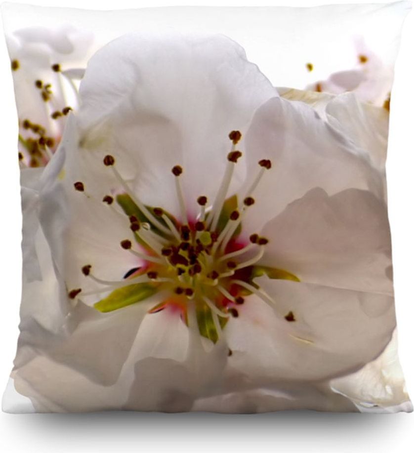 AG design Dekorativní polštář Třešňové květy 45 x 45 cm - obrázek 1