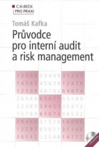 Průvodce pro interní audit a risk management + CD - obrázek 1