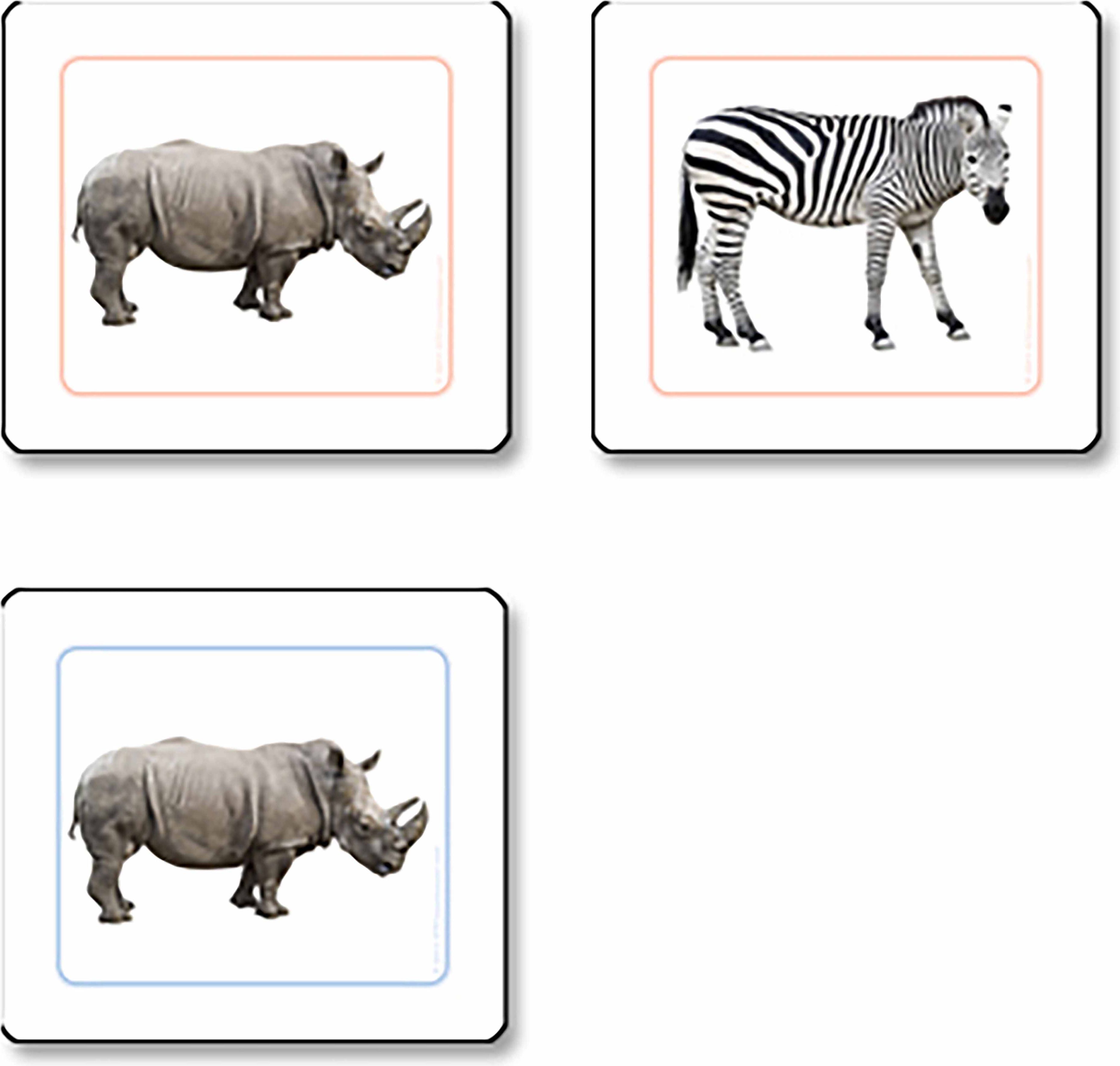 Nienhuis Přikládací karty pro nejmenší: Zvířata Afriky - obrázek 1