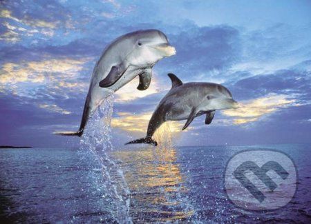 Delfíni - Clementoni - obrázek 1