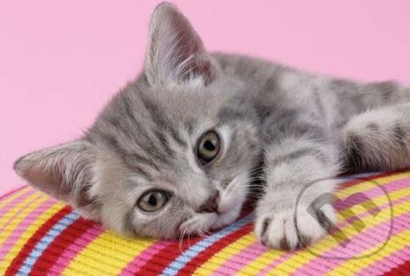 Grey Kitten - Clementoni - obrázek 1