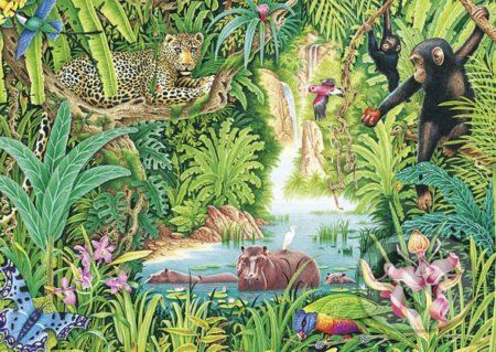 Život v džungli - Schmidt - obrázek 1