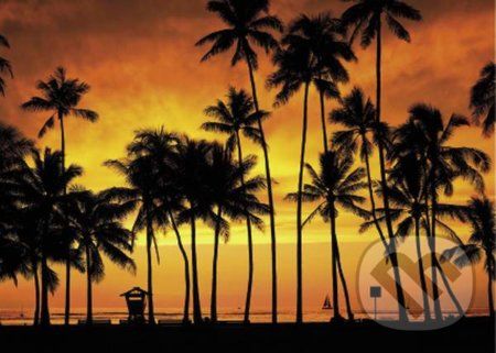 Hawaii Tropics - Clementoni - obrázek 1