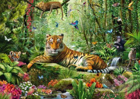 Tiger v džungli - Schmidt - obrázek 1