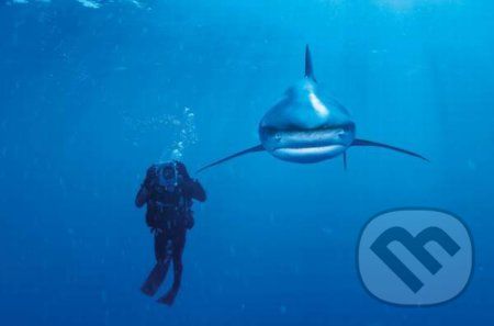 Ocean whitetip shark - Clementoni - obrázek 1