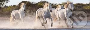 Utekajúce kone - Clementoni - obrázek 1