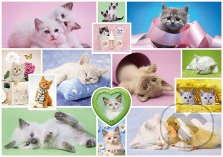 Cuddly cats - Schmidt - obrázek 1