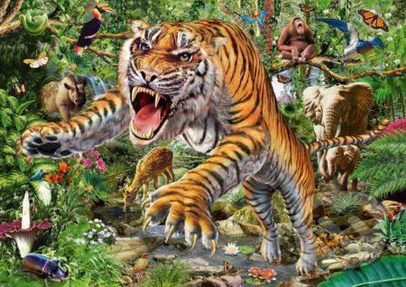 Tiger attack - Schmidt - obrázek 1