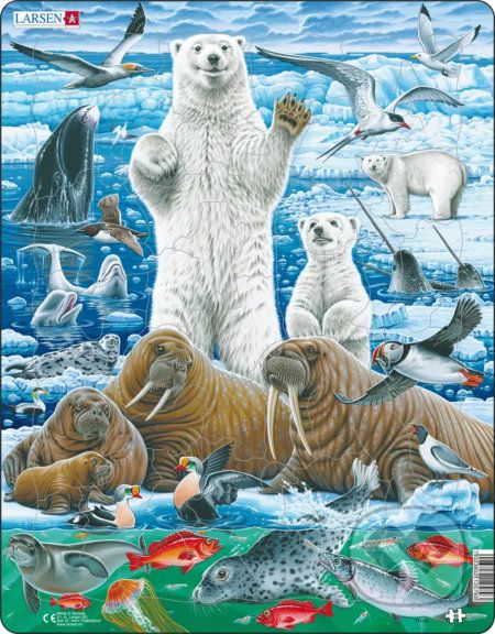 Ľadový medveď a mrož - Larsen - obrázek 1