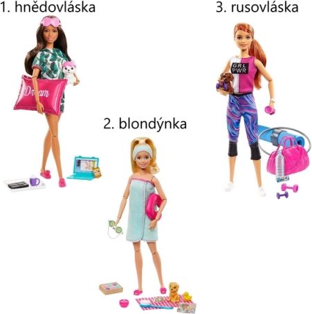 Barbie wellness panenka - obrázek 1