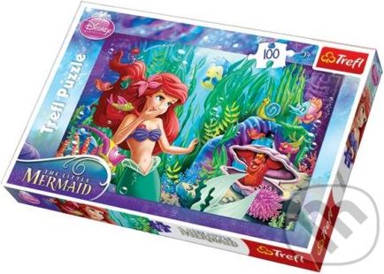 Ariel a hra na schovku - Trefl - obrázek 1