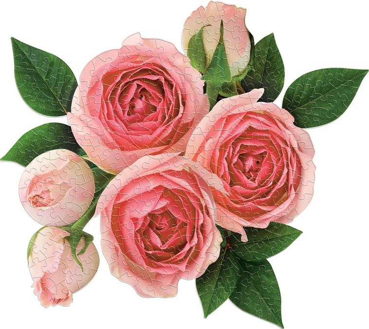 GALISON Tvarové puzzle Rosé All Day 2v1 500 dílků - obrázek 2