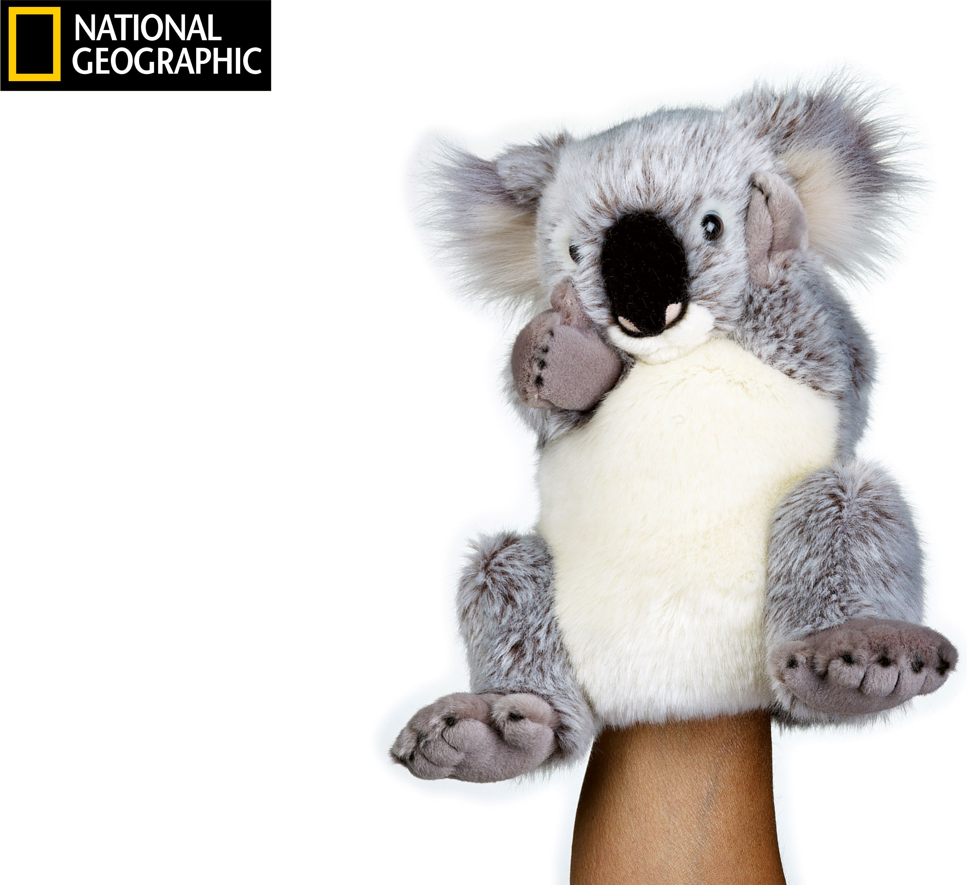maňásek National Geographic Koala 26 cm 8590331926374 - obrázek 1