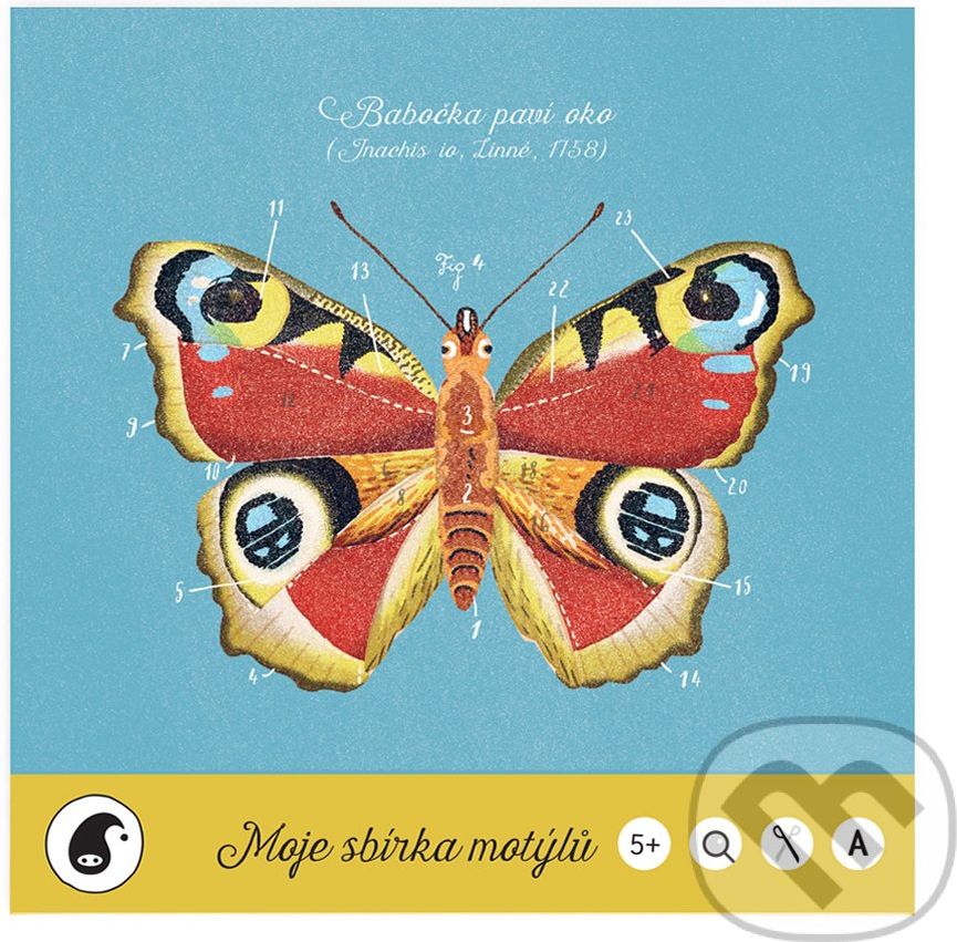 Moje sbírka motýlů - Jitka Musilová, Martin Krkošek (ilustártor) - obrázek 1