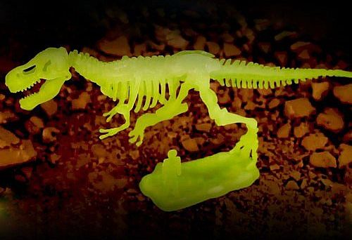 Sada pro malé archeology – Tyranosaurus Rex - obrázek 1