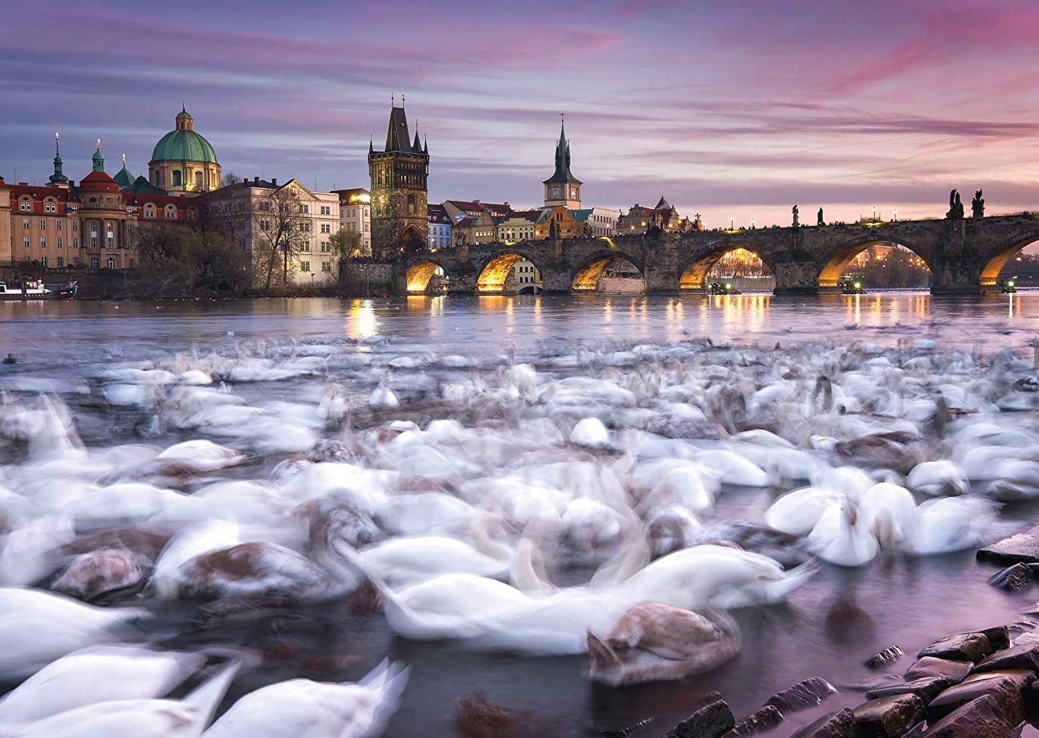 SCHMIDT Puzzle Praha: Labutě na břehu Vltavy 1000 dílků - obrázek 1