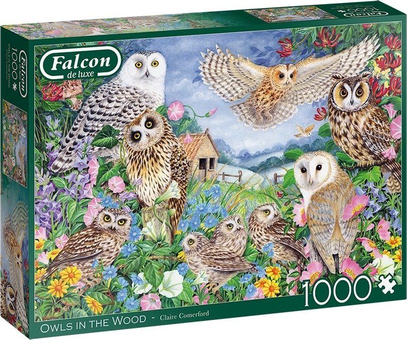 FALCON / JUMBO FALCON , JUMBO Puzzle Sovy v lese 1000 dílků - obrázek 1