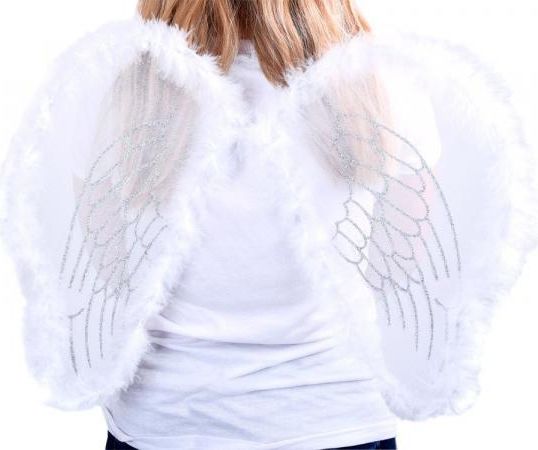 Křídla malého anděla - obrázek 1