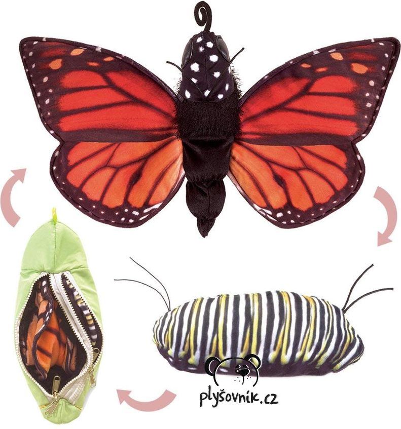 Folkmanis, Motýl monarcha stěhovavý - obrázek 1