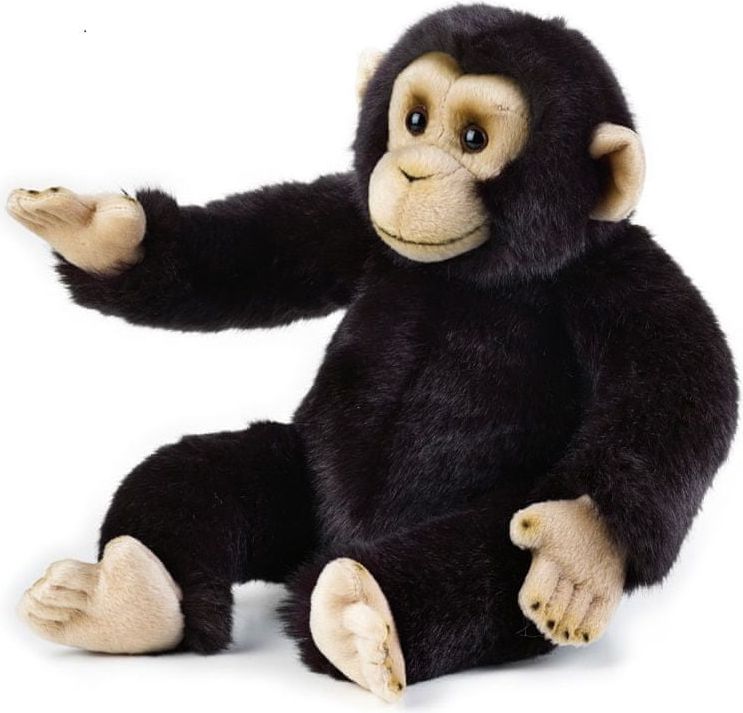 National Geographic Zvířátka z deštného pralesa 770713 Šimpanz 36 cm - obrázek 1