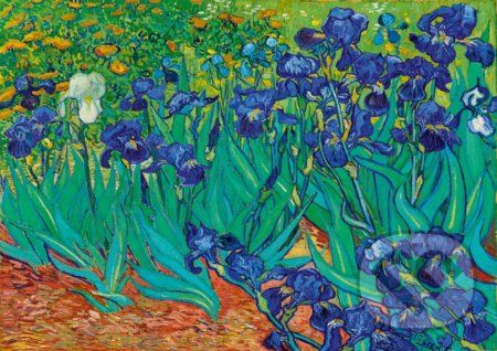 Vincent Van Gogh - Irises, 1889 - Bluebird - obrázek 1