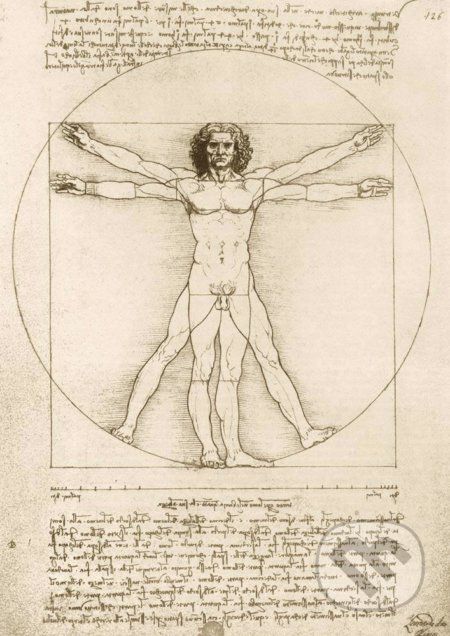 Leonardo Da Vinci - The Vitruvian Man, 1490 - Bluebird - obrázek 1