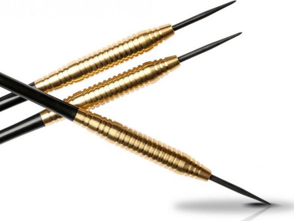 XQ MAX Šipky XQMax Darts Steel Vincent van der Voort - 20g - obrázek 1