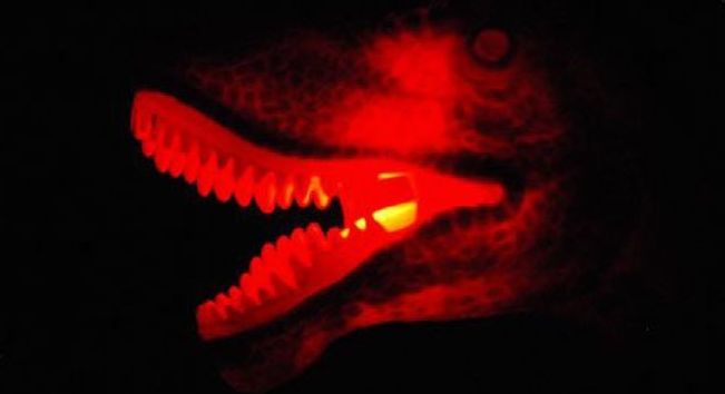 RC dinosaurus T-Rex - obrázek 7