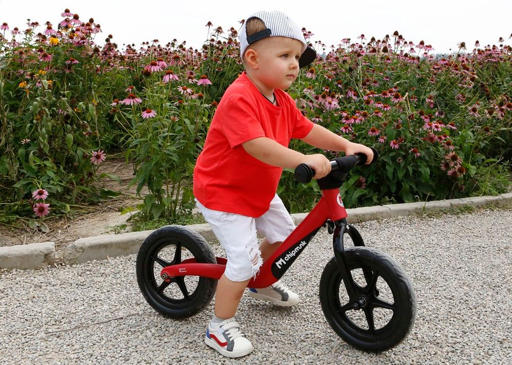 RoyalBaby odrážedlo Chipmunk - námořnická modř - obrázek 14