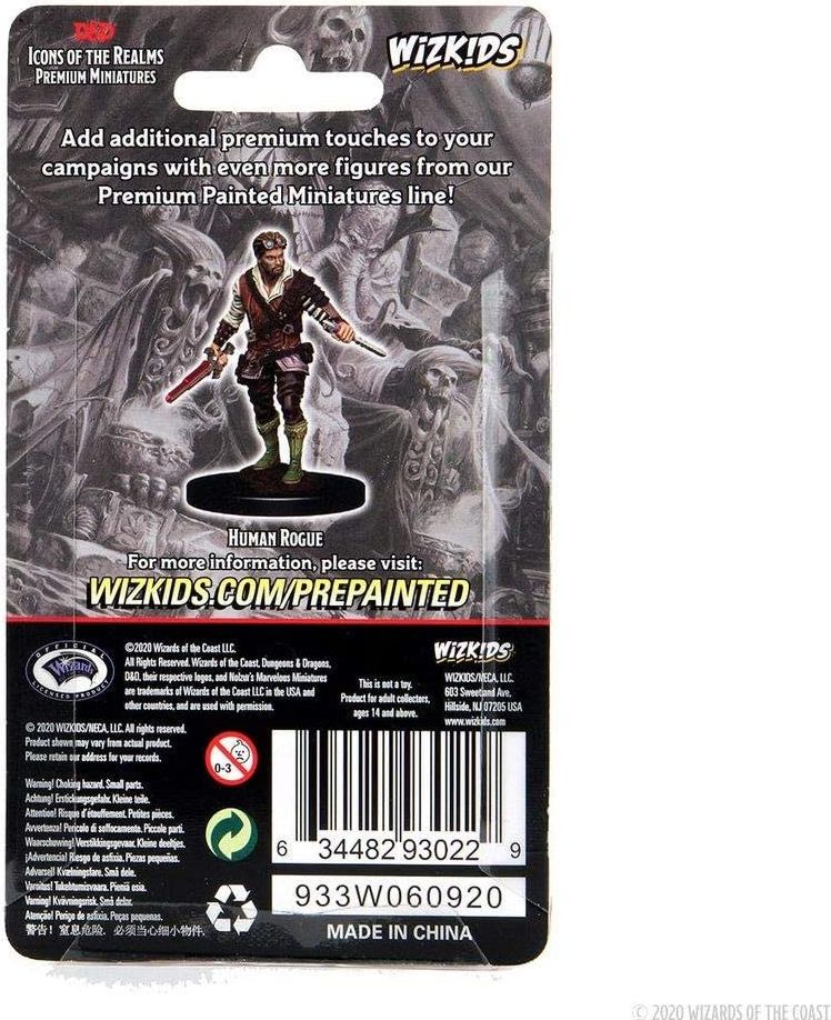 WizKids D&D Icons of the Realms: Premium Painted Figure - Human Rogue Male - obrázek 3