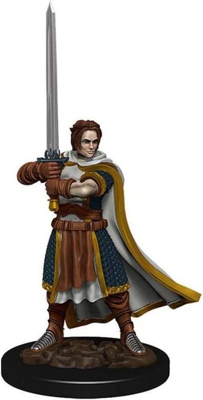 WizKids D&D Icons of the Realms: Premium Painted Figure - Human Cleric Male - obrázek 1
