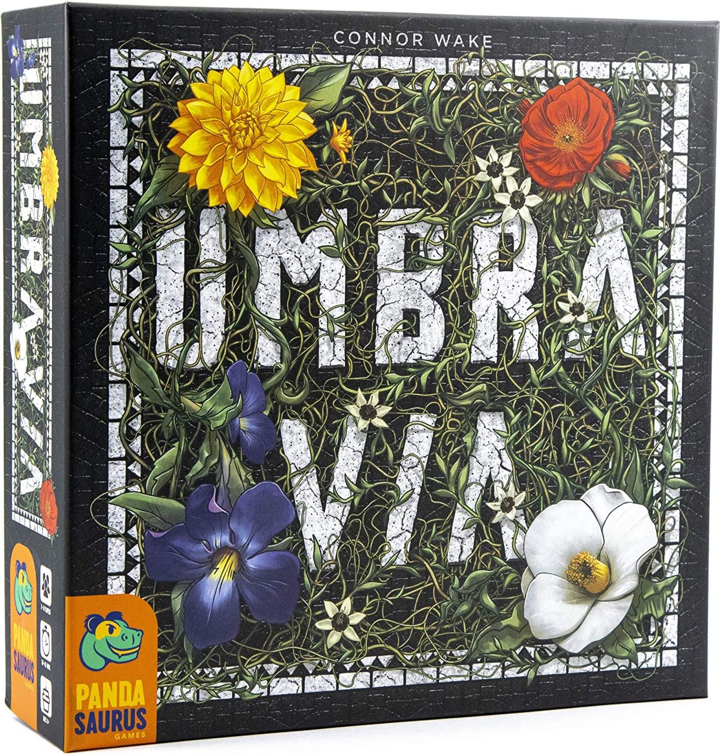 Pandasaurus Games Umbra Via - obrázek 1