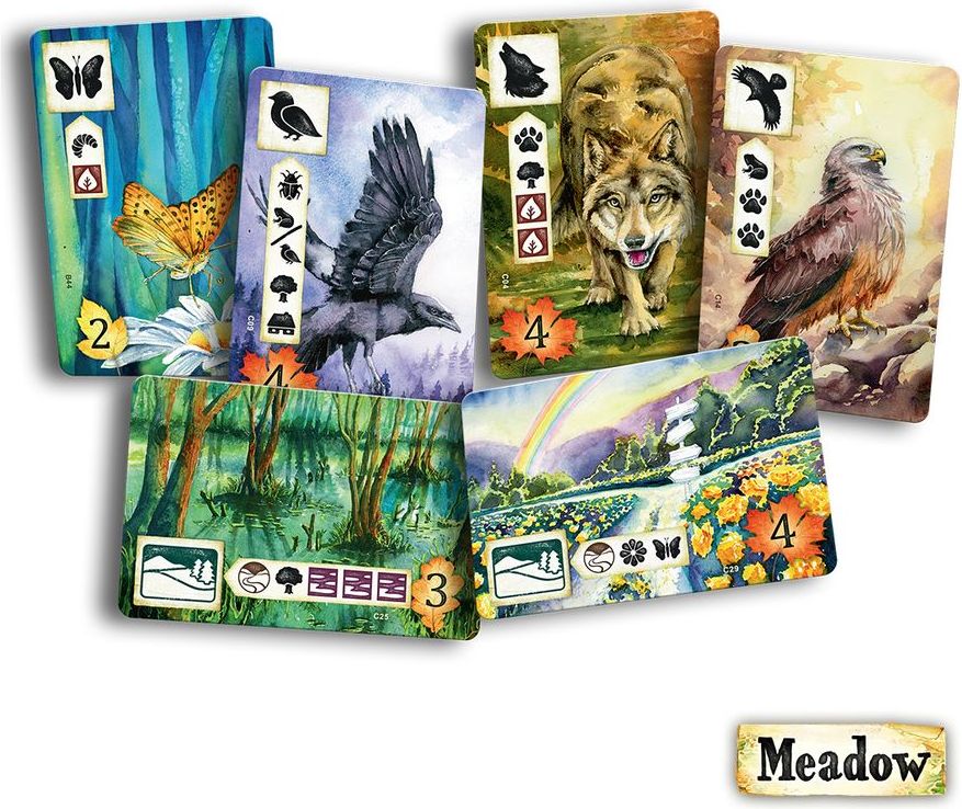 Rebel Meadow - obrázek 3