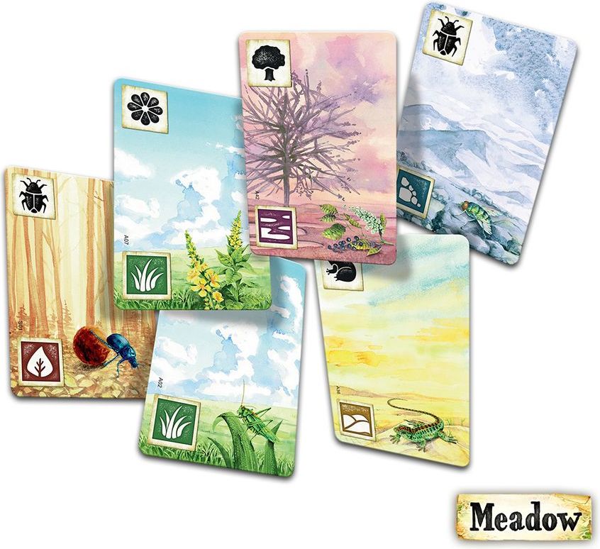 Rebel Meadow - obrázek 6