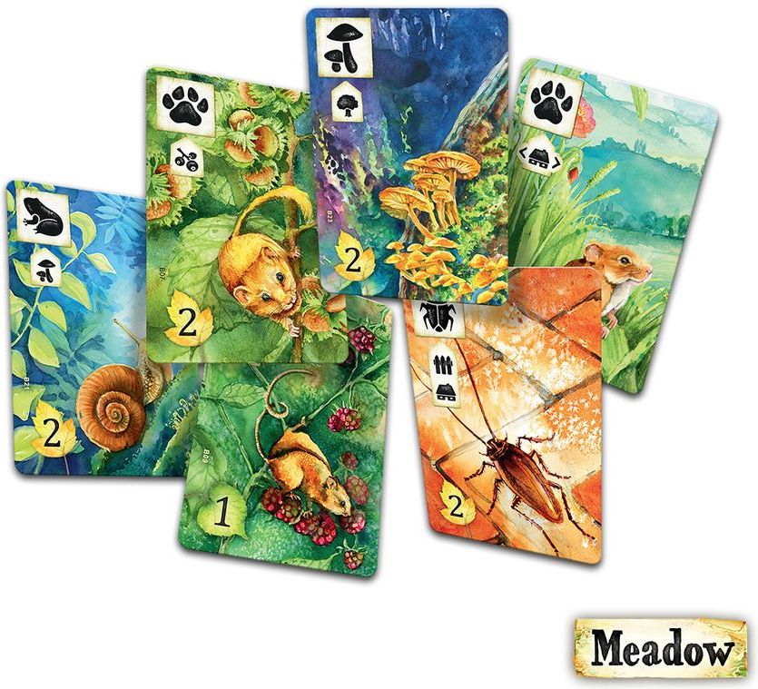 Rebel Meadow - obrázek 7