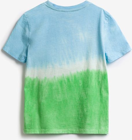 Triko dětské GAP | Modrá Zelená | Chlapecké | XL - obrázek 2