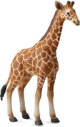 Žirafa - mládě - obrázek 1