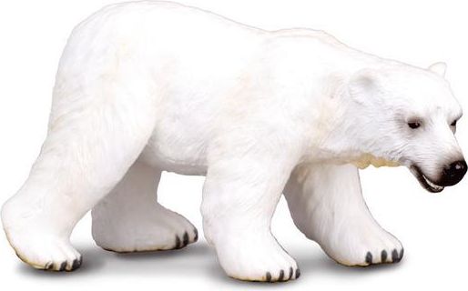 Medvěd lední - obrázek 1