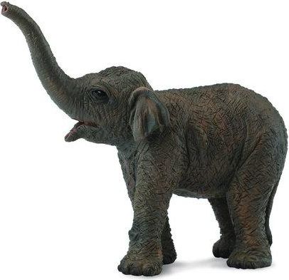 Slon asijský - slůně - obrázek 1