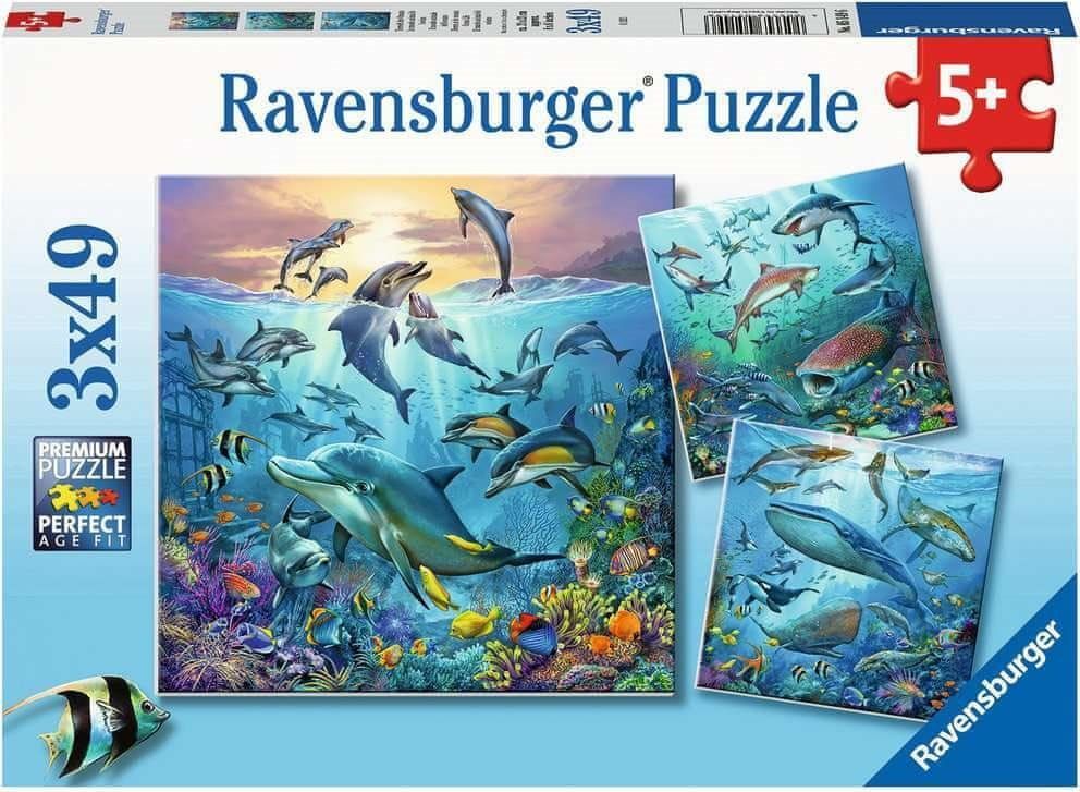 Ravensburger Puzzle Zvířata z oceánu 3x49 dílků - obrázek 1