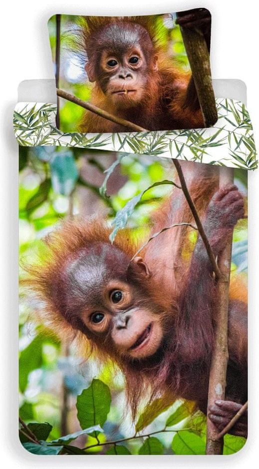 Jerry Fabrics Povlečení fototisk Orangutan 02 140x200, 70x90 cm - obrázek 1