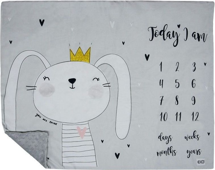 Foto deka 75x95 cm Eko Panda 2021 - obrázek 2