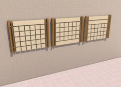 Edukační panel Rostliny - na stěnu - obrázek 2