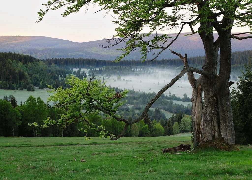 RAVENSBURGER Puzzle Šumava 1000 dílků - obrázek 1