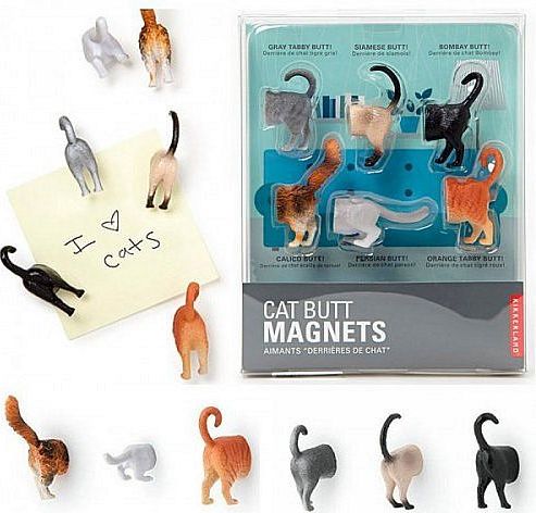 Magnety - kočičky - obrázek 1